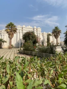 نمونه‌کار