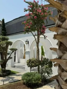 نمونه‌کار